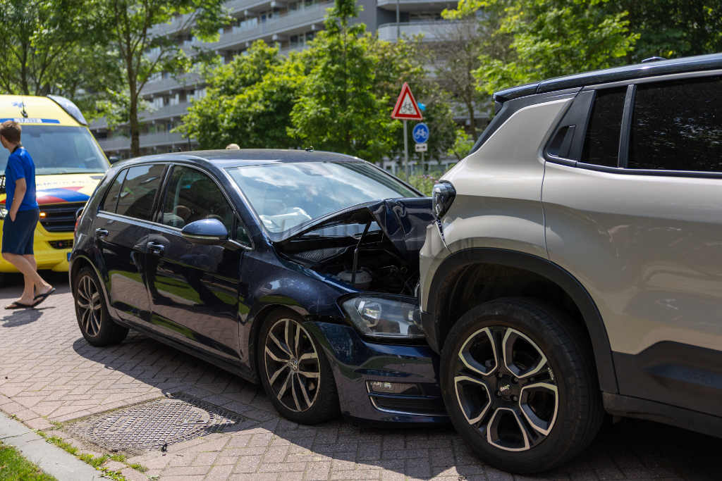 Auto remt voor overstekende ganzen met botsing tot gevolg Van Beethovensingel Schiedam